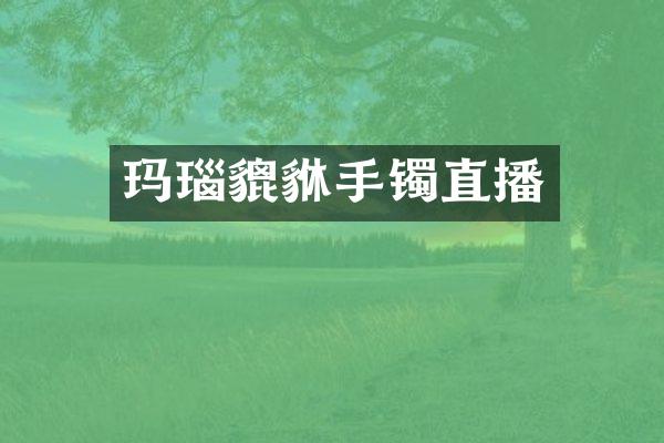 玛瑙貔貅手镯直播