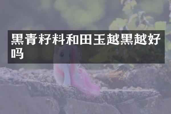 黑青籽料和田玉越黑越好吗