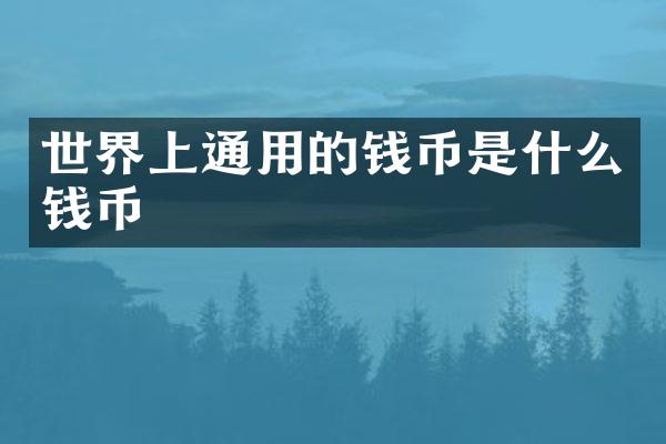 世界上通用的钱币是什么钱币