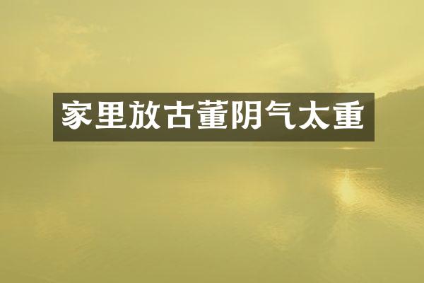 家里放古董阴气太重
