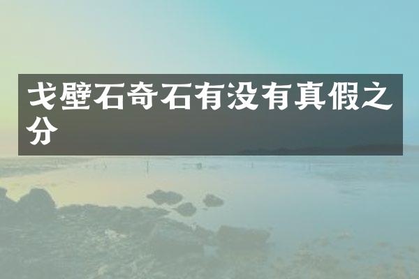 戈壁石奇石有没有真假之分