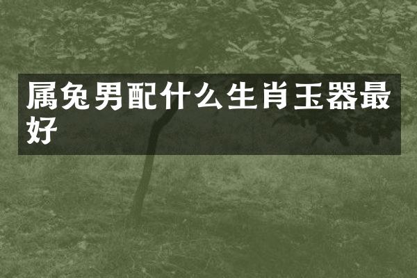属兔男生肖玉器最好