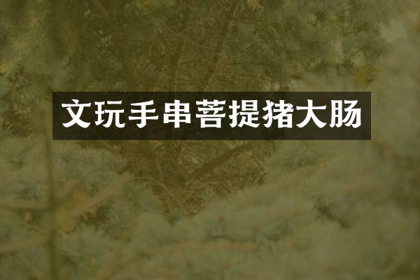 文玩手串菩提猪大肠
