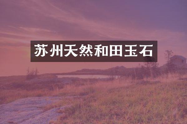 苏州天然和田玉石