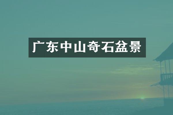 广东中山奇石盆景