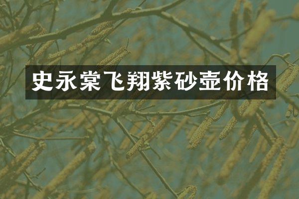 史永棠飞翔紫砂壶价格