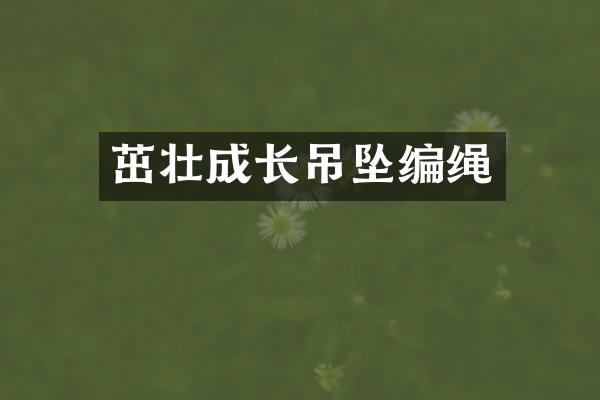 茁壮成长吊坠编绳