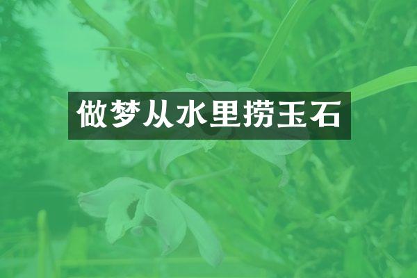 做梦从水里捞玉石