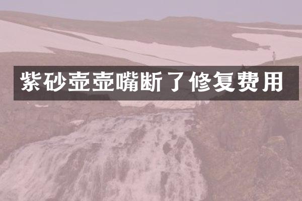 紫砂壶壶嘴断了修复费用
