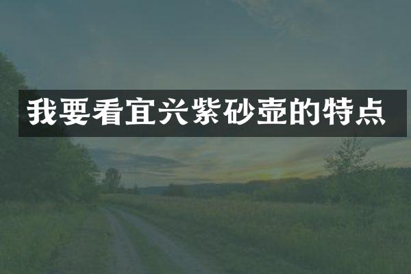 我要看宜兴紫砂壶的特点