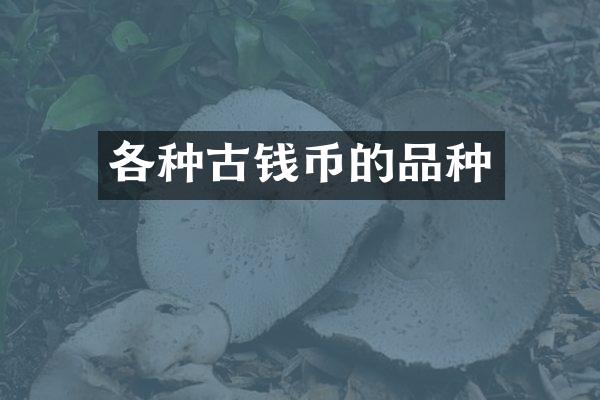 各种古钱币的品种