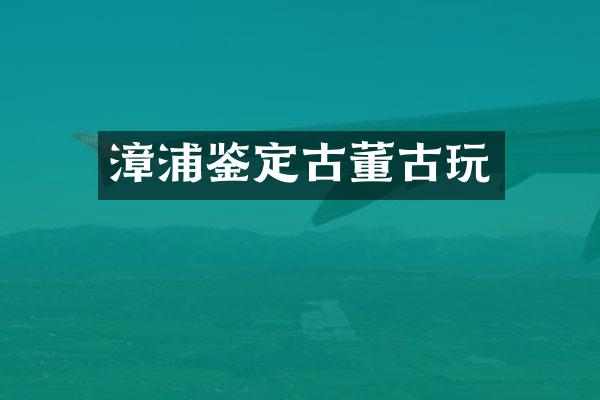 漳浦鉴定古董古玩