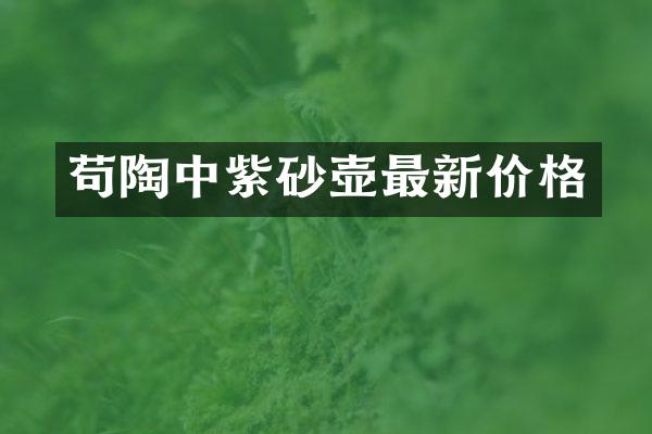 苟陶中紫砂壶最新价格