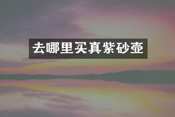 去哪里买真紫砂壶