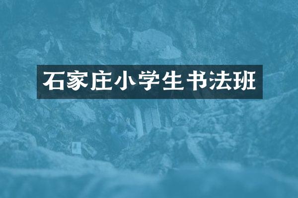 石家庄小学生书法班