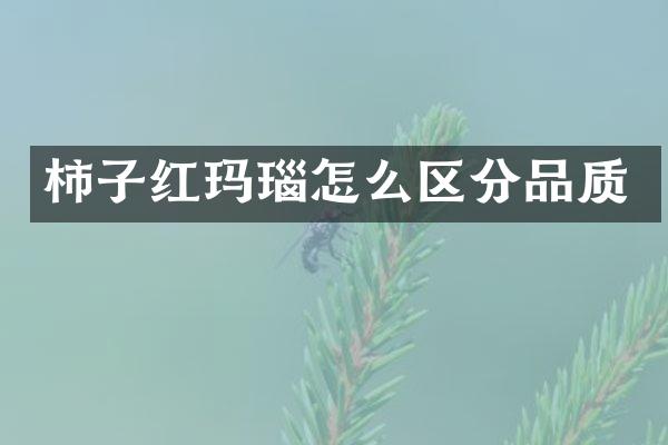 柿子红玛瑙怎么区分品质