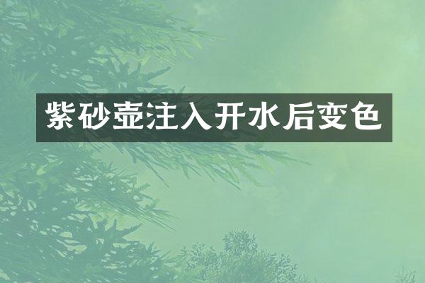 紫砂壶注入开水后变色