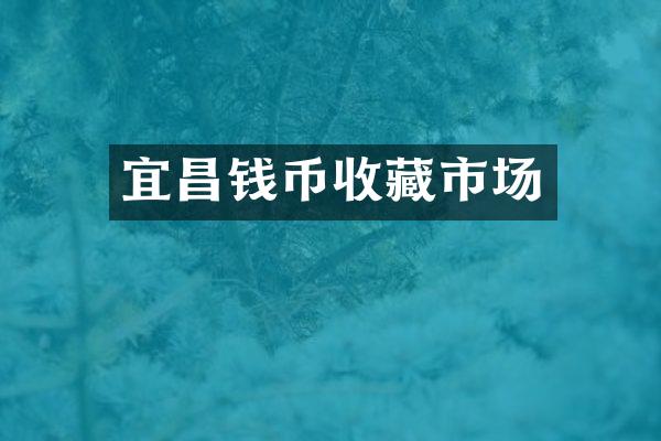 宜昌钱币收藏市场
