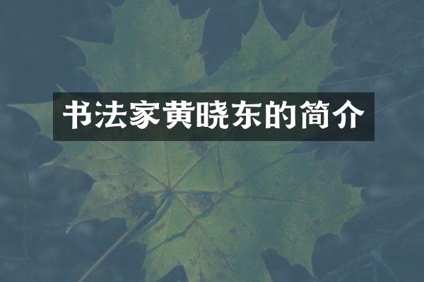书法家黄晓东的简介