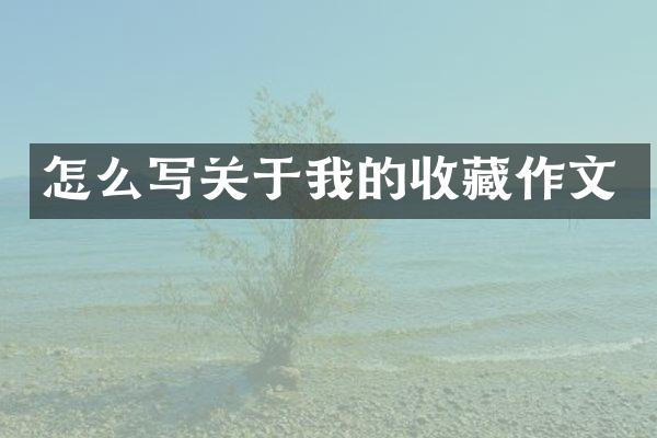 怎么写关于我的收藏作文