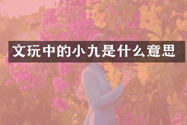 文的小九是什么意思