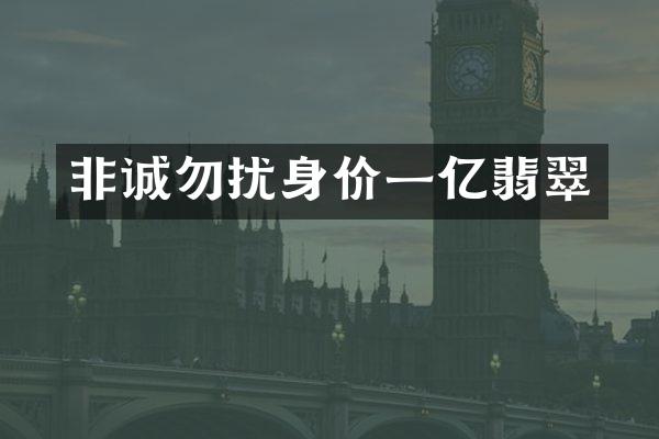 非诚勿扰身价一亿翡翠