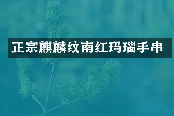 正宗麒麟纹南红玛瑙手串