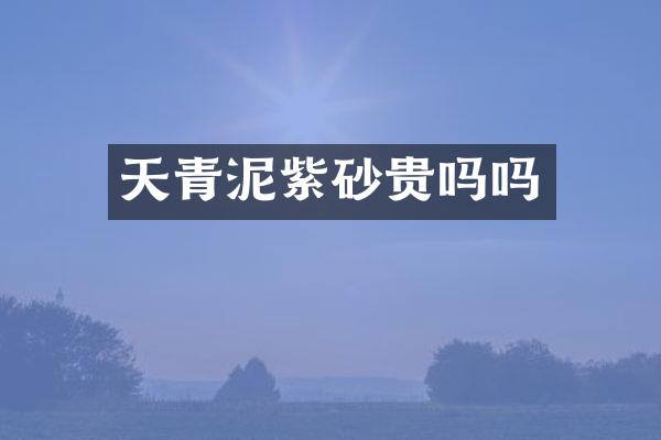 天青泥紫砂贵吗吗