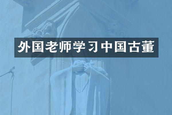 外国老师学习中国古董