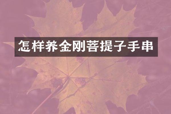 怎样养金刚菩提子手串