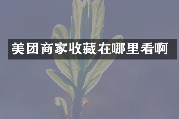 美团商家收藏在哪里看啊