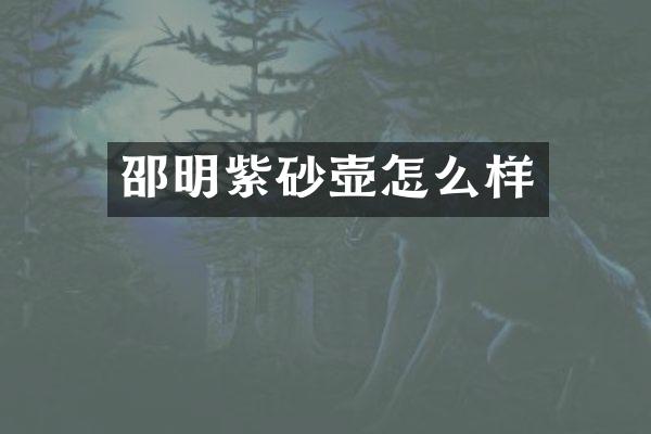 邵明紫砂壶怎么样