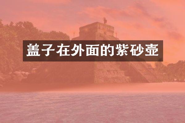 盖子在外面的紫砂壶