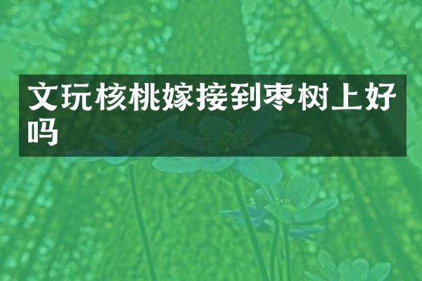 文玩核桃嫁接到枣树上好吗