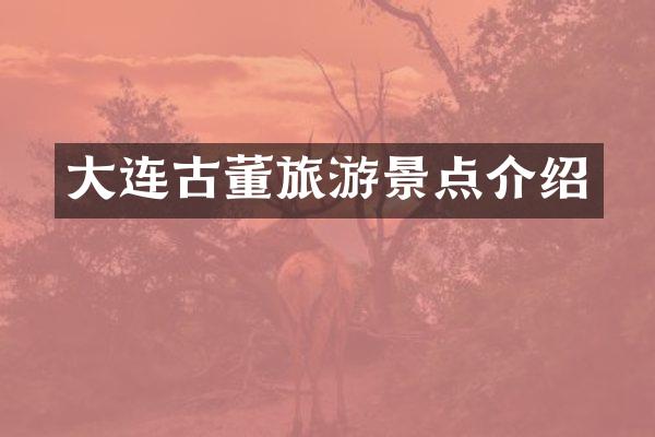 大连古董旅游景点介绍
