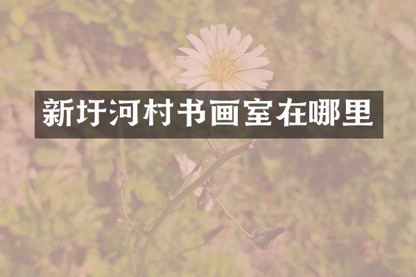 新圩河村书画室在哪里