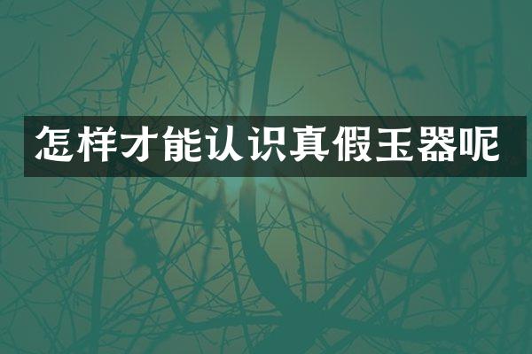 怎样才能认识真假玉器呢