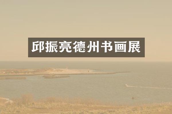 邱振亮德州书画展