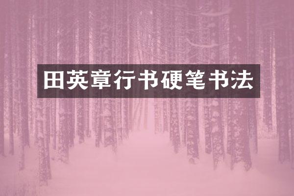 田英章行书硬笔书法