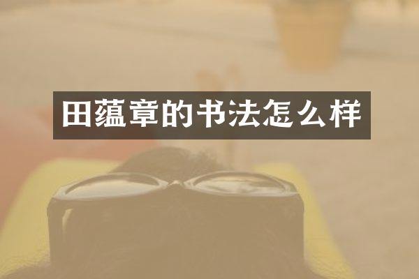 田蕴章的书法怎么样