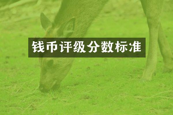 钱币评级分数标准
