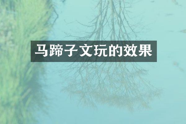 马蹄子文玩的效果