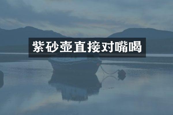紫砂壶直接对嘴喝