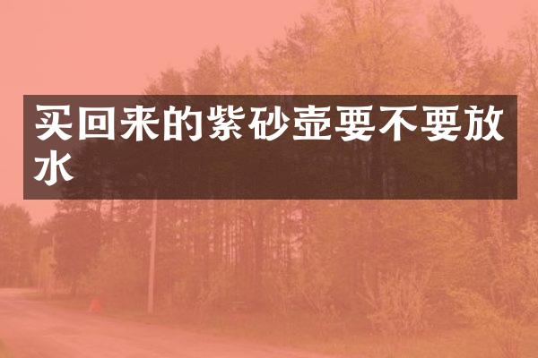 买回来的紫砂壶要不要放水