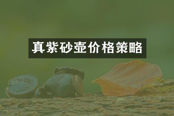 真紫砂壶价格策略