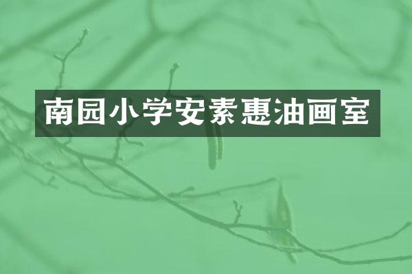 南园小学安素惠油画室