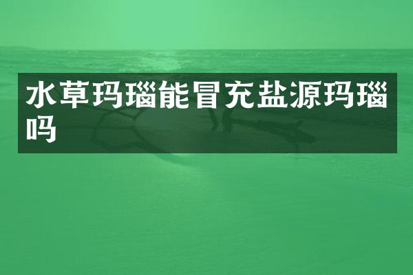 水草玛瑙能冒充盐源玛瑙吗