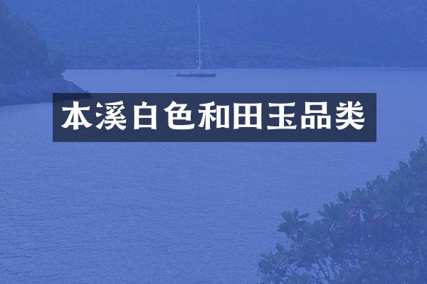本溪白色和田玉品类