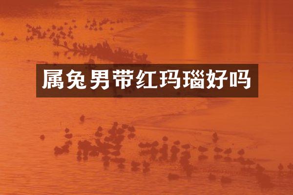 属兔男带红玛瑙好吗