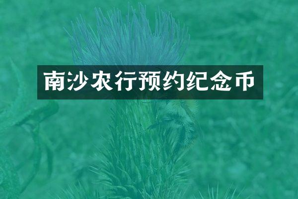 南沙农行预约纪念币